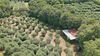 Soluzione singola con grande terreno a Calvagese della Riviera