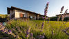 Elegante villa vista lago con ampio giardino esclusivo a San Felice del Benaco in vendita