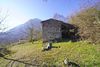 CARATTERISTICO RUSTICO IN PIETRA IMMERSO NEL VERDE