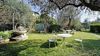 Casa indipendente con giardino in vendita a Toscolano Maderno
